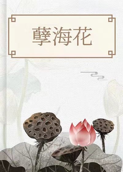 孽海花